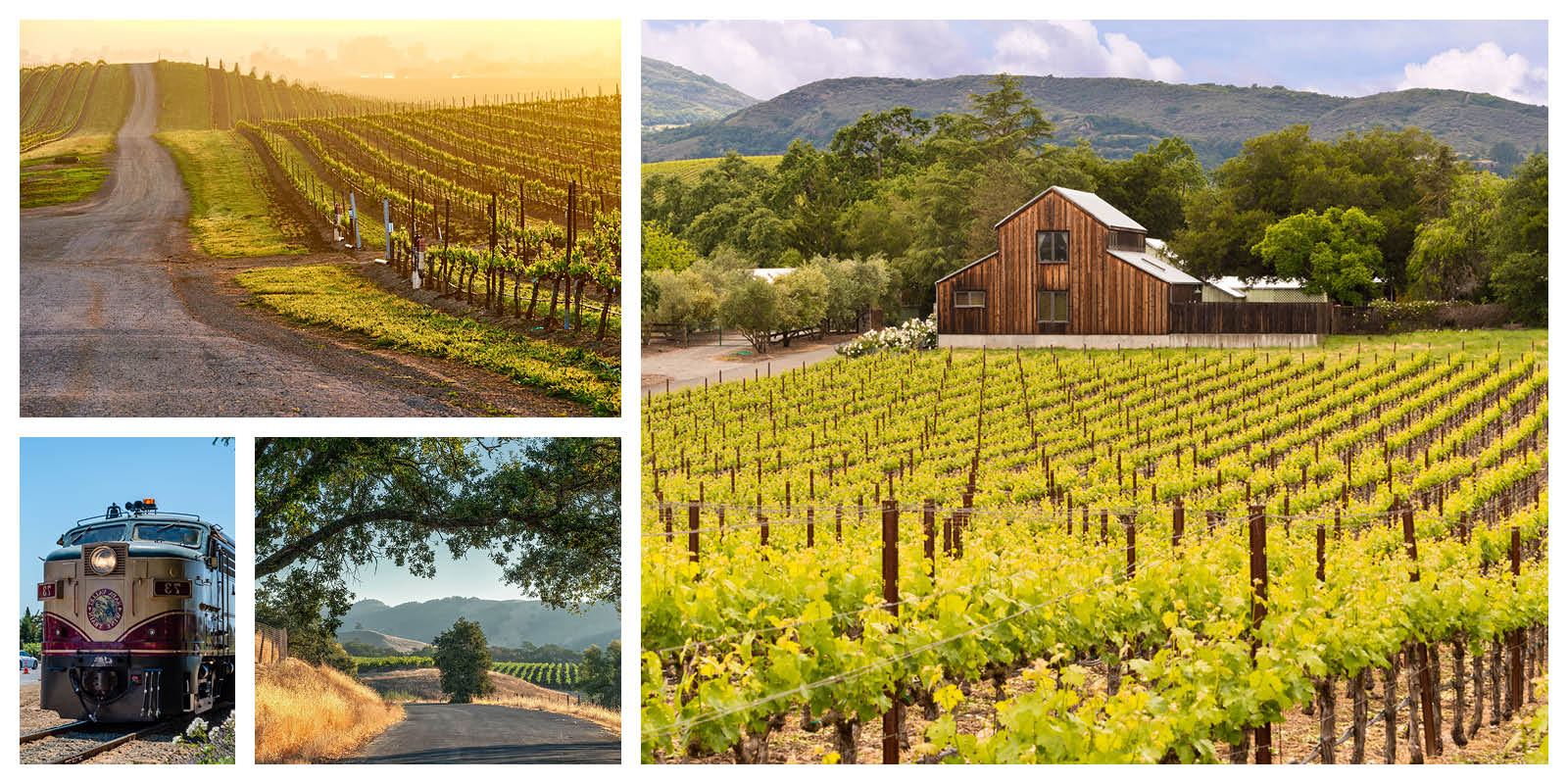 Featured image of Napa / Sonoma