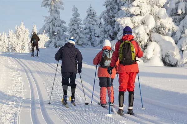 Cross Country Skiing
