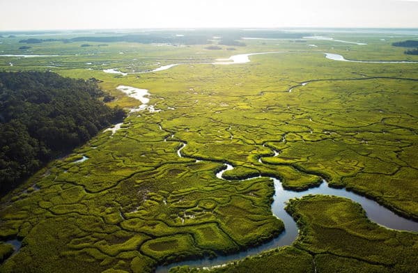 Kayak the Saltwater Marshes