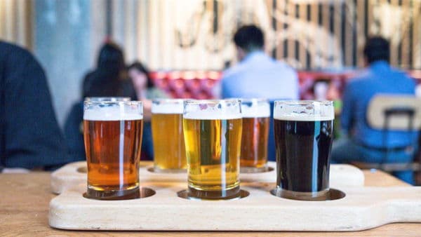 Brew Tour - By Bike