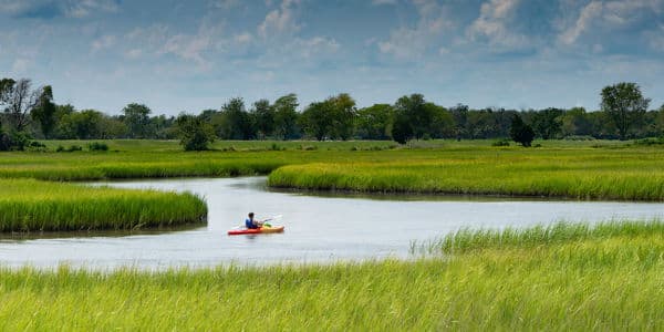 Kayak Nature Tour