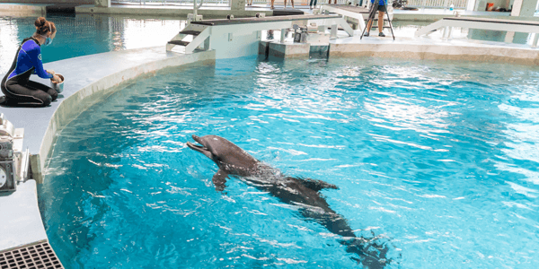 Clearwater Marine Aquarium