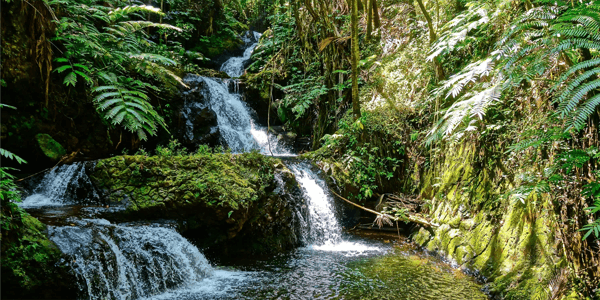 Big Island Circle Tour