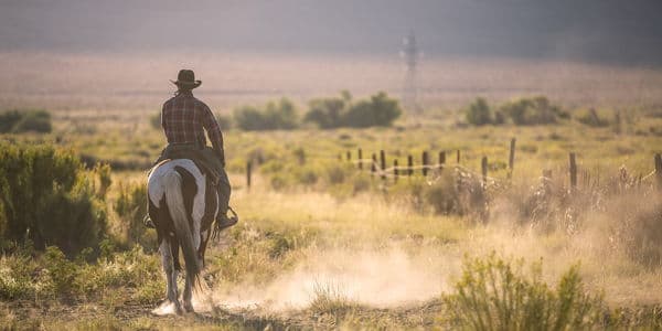 Horseback Riding Experience