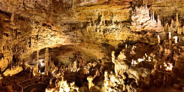 Visit the Natural Bridge Caverns