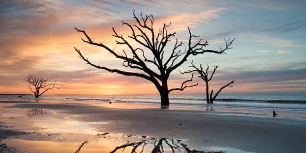Boneyard Beach Sunrise Expedition