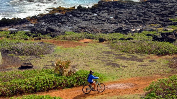 Bike Tour Kaua'i