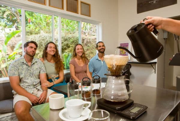 Coffee Farm Tour