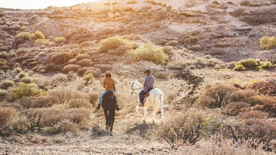 Horseback Riding in the Desert