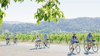 Bike Tours through the Wine Valleys