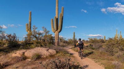 Desert Mountain Biking